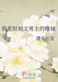 我是限制文男主的继妹